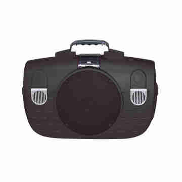 Karaoke Bluetooth Lautsprecher F-33f